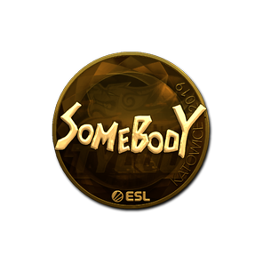 印花 | somebody（金色）| 2019年卡托维兹锦标赛