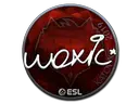 woxic (Foil) | Katowice 2019