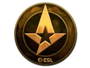 Astralis (Gold) | Katowice 2019