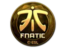 Fnatic (Gold) | Katowice 2019