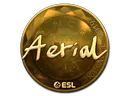 Aerial (Gold) | Katowice 2019