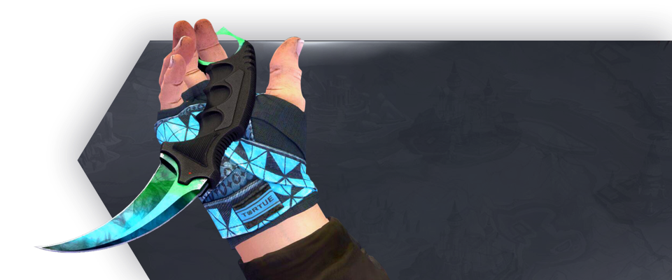 Sport Gloves Pandora's Box + AWP Atheris IBP HOLO