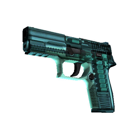 P250（StatTrak™） | 伦琴射线 