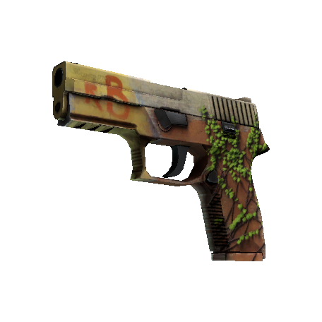 P250（StatTrak™） | 炼狱小镇 