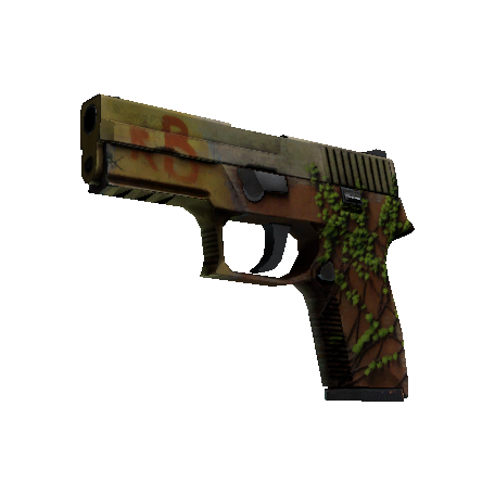 P250（StatTrak™） | 炼狱小镇 