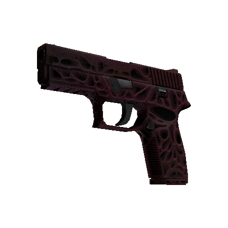 P250（StatTrak™） | 污染物 