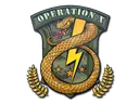 Badge of Service