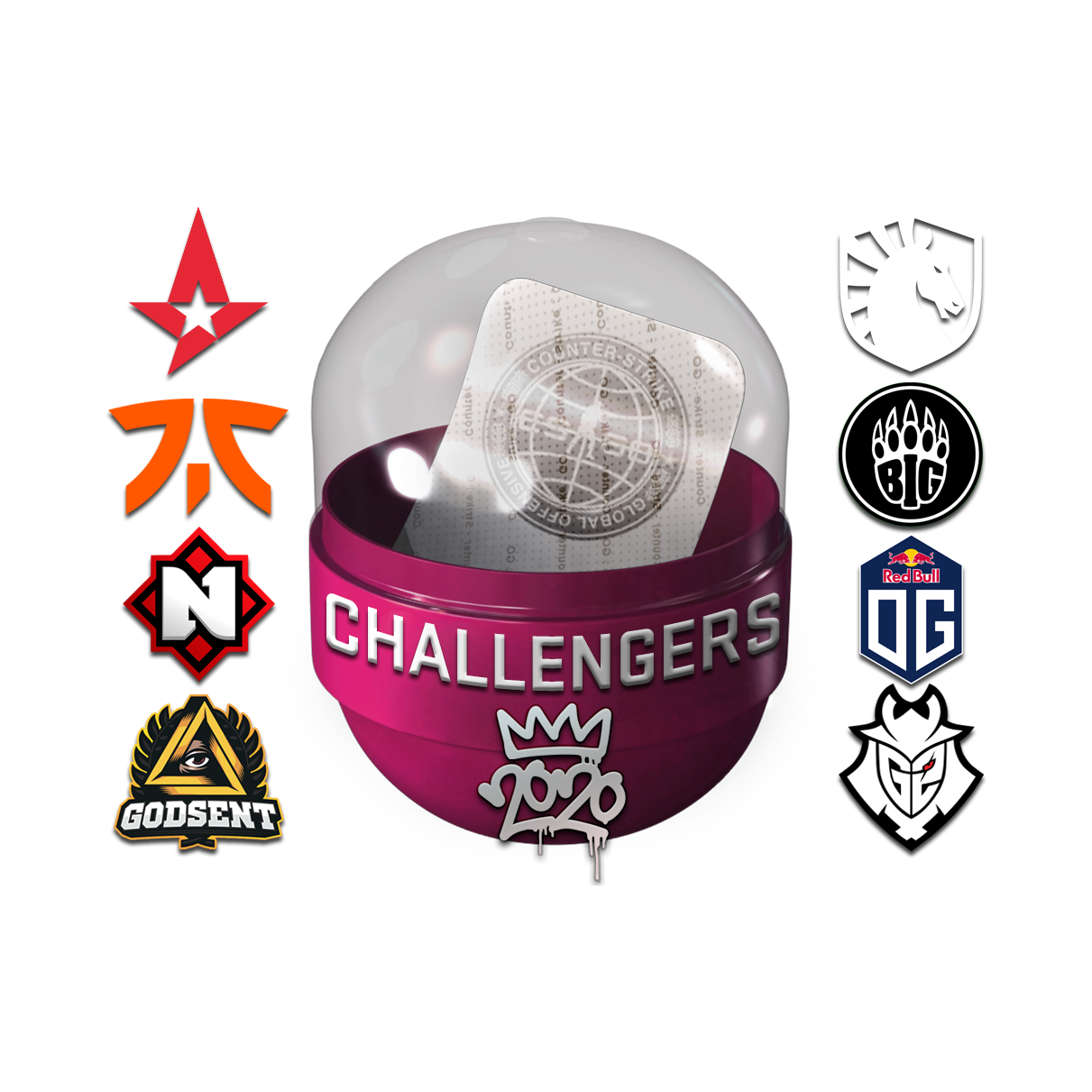 2020 RMR 挑战组战队胶囊