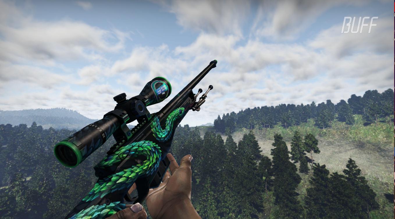 csgo皮肤鉴赏awp树蝰