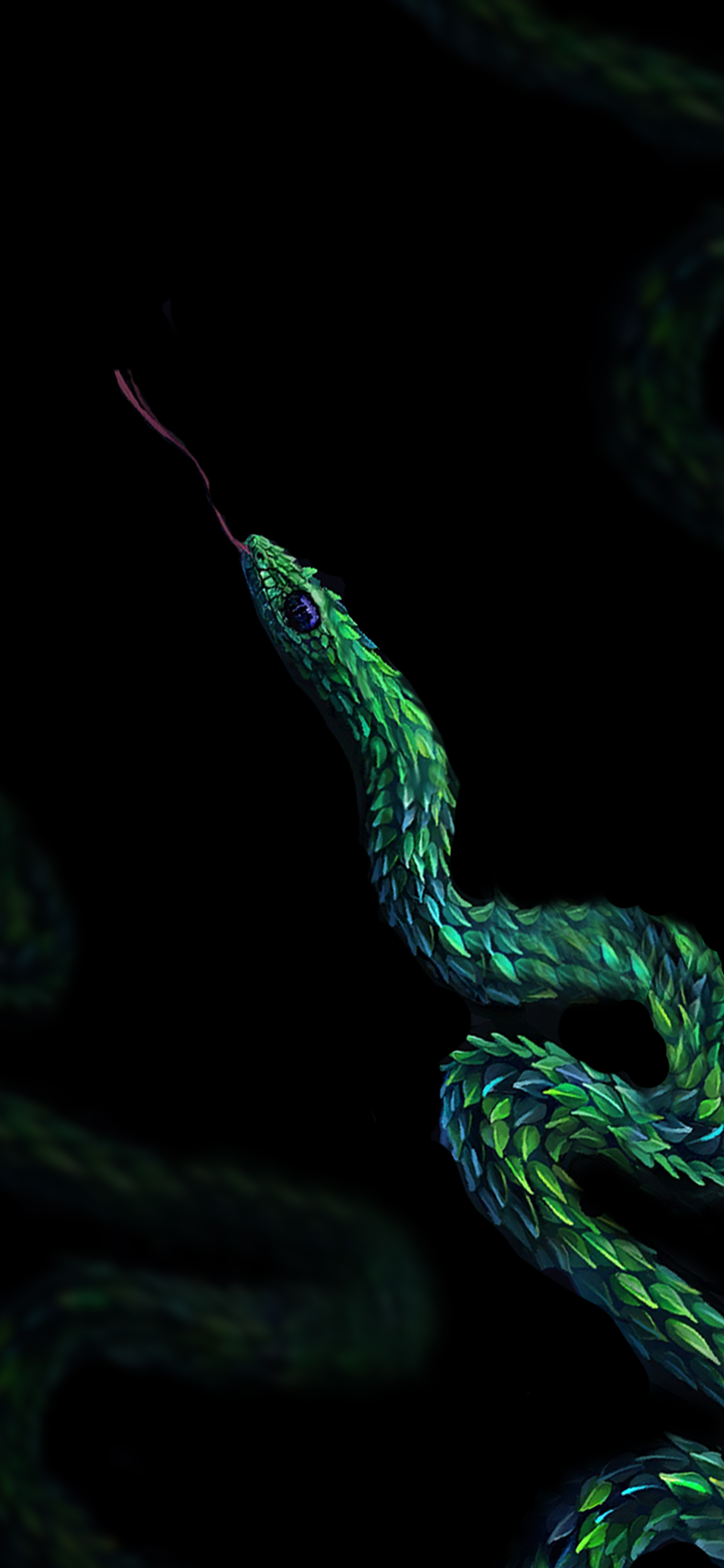 csgo皮肤鉴赏awp树蝰