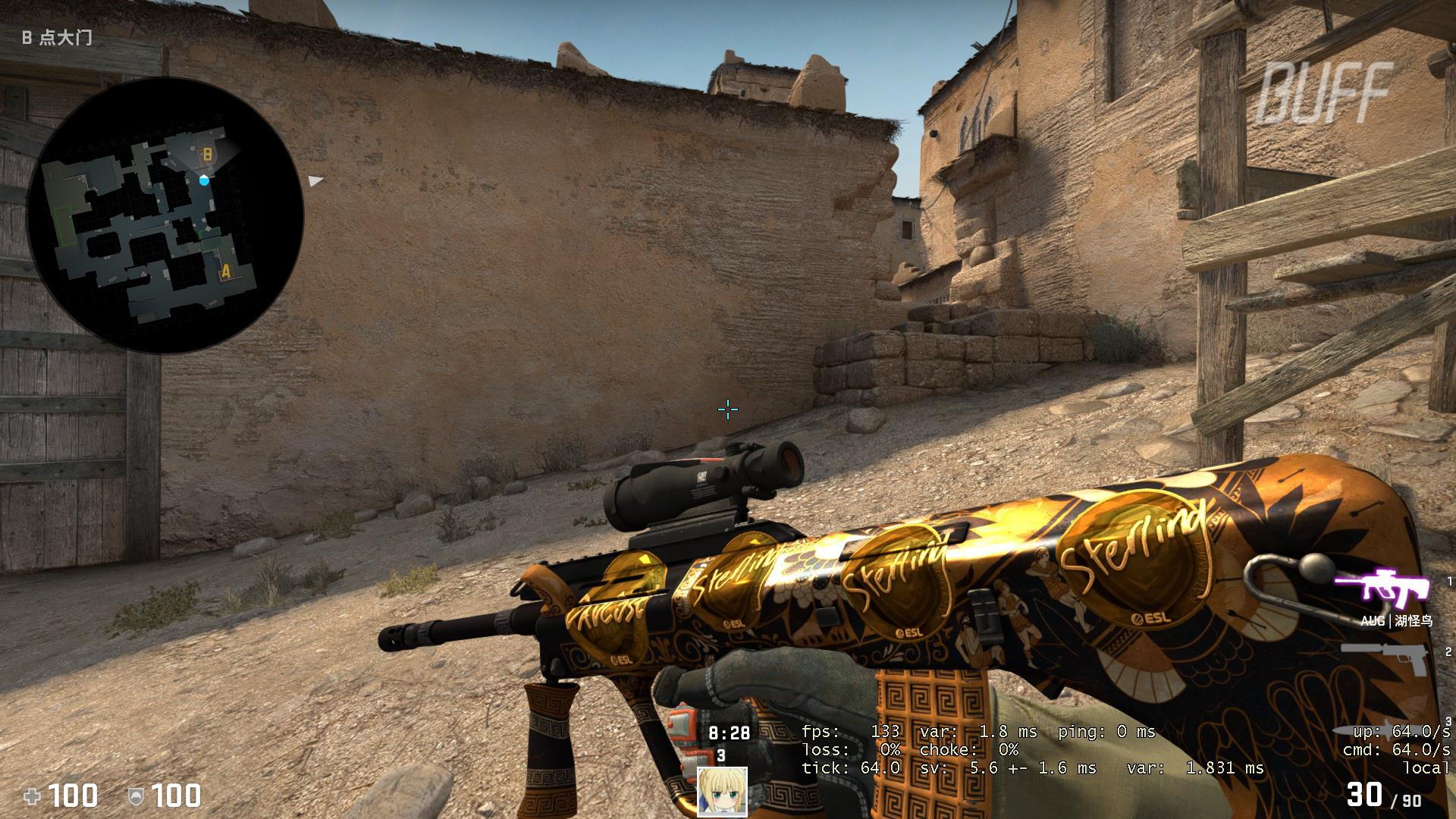 csgo皮肤鉴赏aug湖怪鸟