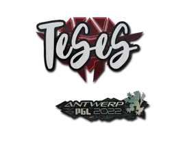 TeSeS | Antwerp 2022