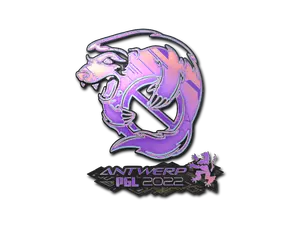 Outsiders (Holo) | Antwerp 2022