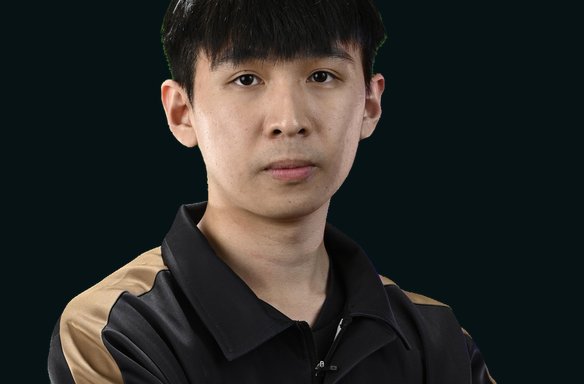 xNova选手贴纸 - 2022年TI_DOTA2饰品交易_网易BUFF