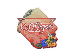 karrigan | Rio 2022