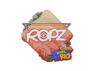 ropz | Rio 2022