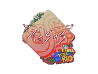 TeSeS | Rio 2022
