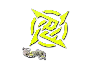 Ninjas in Pyjamas | Paris 2023
